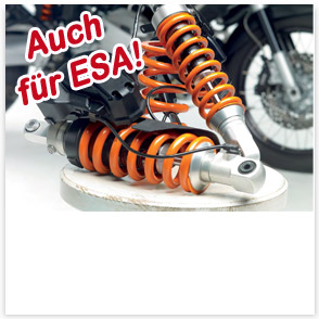 Wilbers für BMW 1100 und 1150